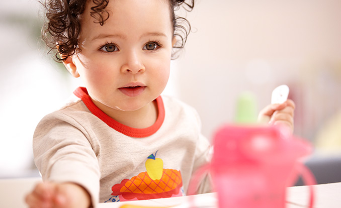 Toddler food &ndash; a balanced diet